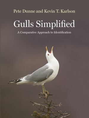 cover image of Gulls Simplified